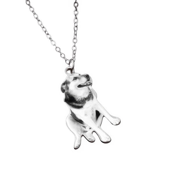 Soulpet